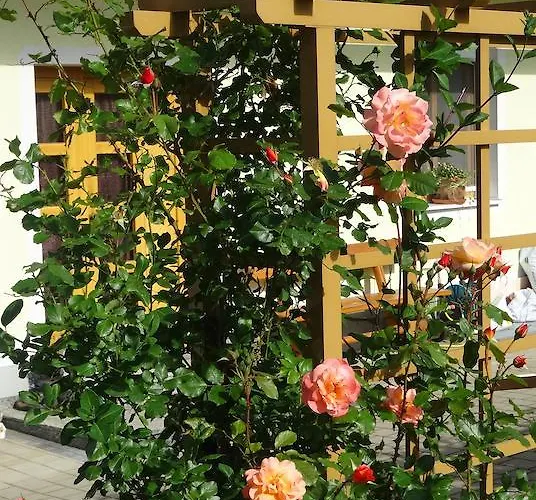 Pension Scherwirt 3*